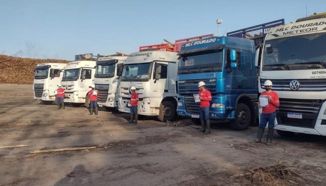 Suzano busca ampliar participação de micro e pequenas empresas no transporte de madeira no Espírito Santo