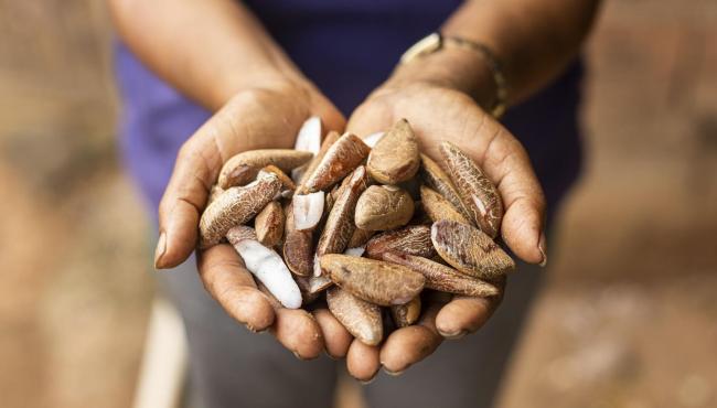 Suzano contribui para retirar mais de 140 mil pessoas da linha da pobreza em cinco anos em suas regiões de atuação