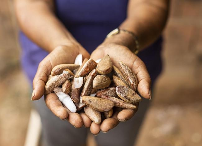 Suzano contribui para retirar mais de 140 mil pessoas da linha da pobreza em cinco anos em suas regiões de atuação