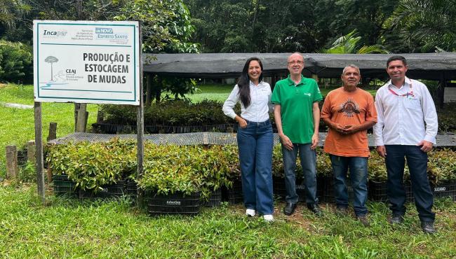 Suzano doa 500 mil mudas de eucalipto ao Cedagro/Incaper e amplia atuação ambiental no Espírito Santo