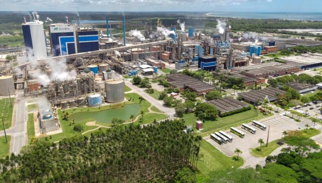 Suzano e a responsabilidade socioambiental: um compromisso com o futuro