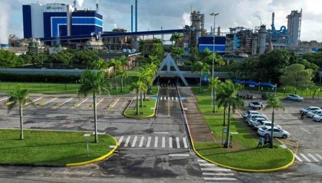 Suzano está com oportunidades de emprego em Aracruz e Cachoeiro de Itapemirim, no ES