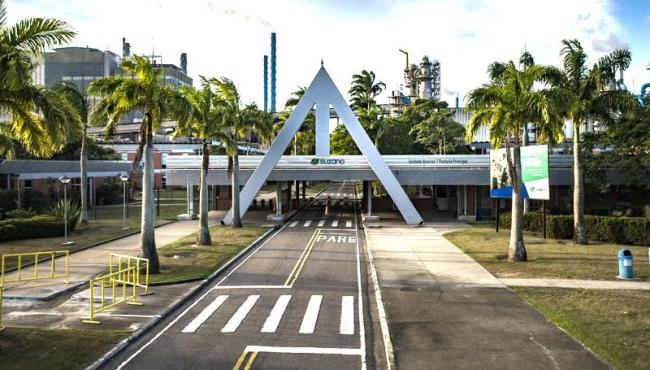 Suzano está com vagas de emprego para trabalhar em Aracruz, no Espírito Santo