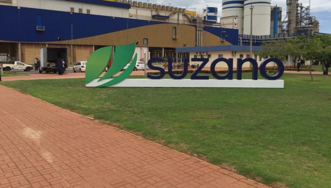 Suzano registra recorde de vendas e ganho de eficiência operacional em 2025