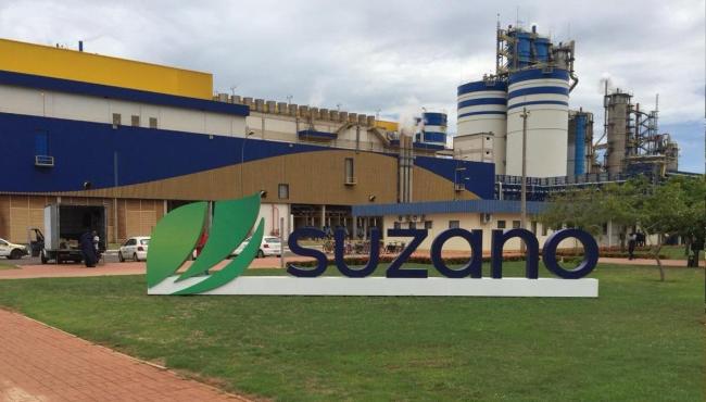 Suzano reporta aumento de eficiência operacional com nova redução do custo caixa no terceiro trimestre
