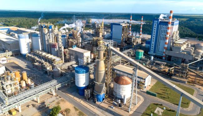 Suzano reporta EBITDA ajustado de R$ 4,7 bilhões no segundo trimestre de 2026