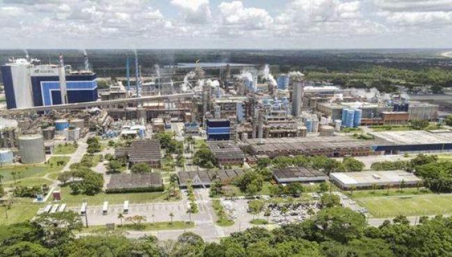 Suzano vai investir R$ 1,17 bilhão em nova fábrica de papel e reforma da unidade de Aracruz