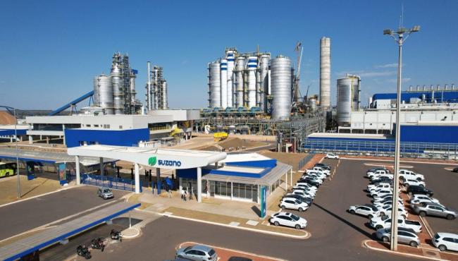 Suzano vende 12,7 milhões de toneladas de celulose pela primeira vez na história