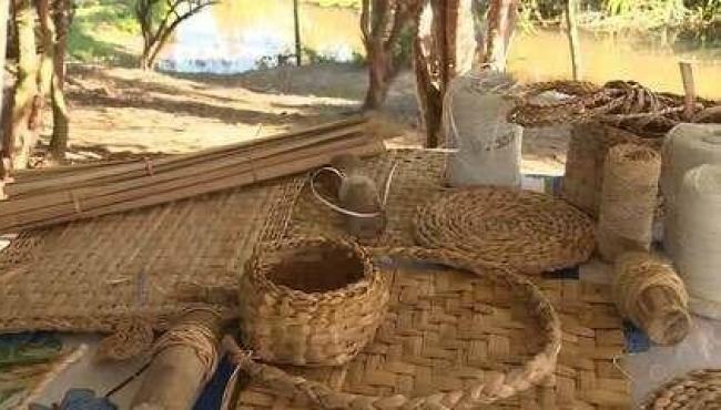 Técnica de artesanato com planta aquática taboa é passada entre gerações e ajuda a sustentar famílias no ES