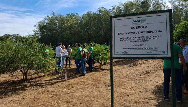 Técnicos do Incaper se capacitam para apoiar expansão da cultura da acerola no Espírito Santo