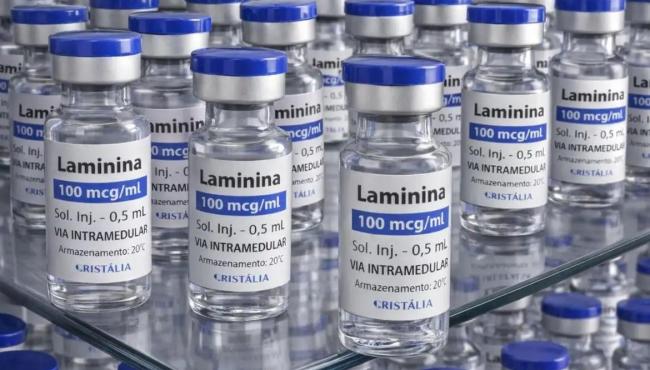 Testes clínicos fase 1 da polilaminina começam este mês