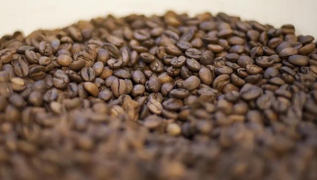 Trump diz que reduzirá tarifas para importação de café