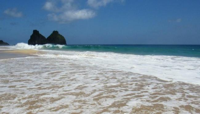 Turista é mordida por tubarão enquanto surfava em Noronha