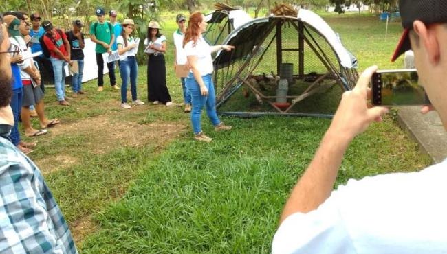 Unidade Experimental do Incaper disponibiliza informações sobre criação de abelhas e galinha caipira