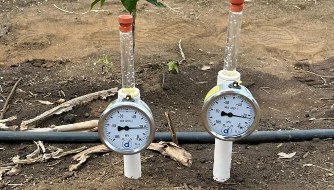 Unidades demonstrativas vão incentivar irrigação sustentável na cafeicultura do ES