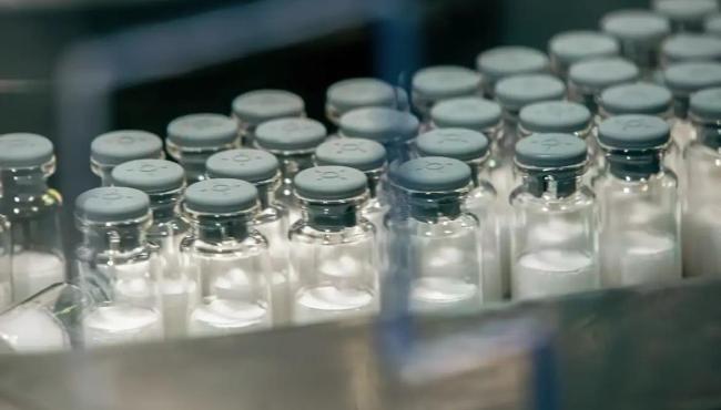 Vacina contra a dengue do Butantan começa a ser aplicada em janeiro