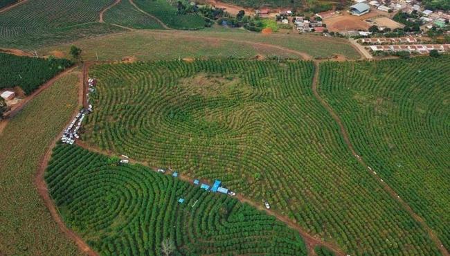 Valor bruto da produção agropecuária do Espírito Santo é estimado em R$ 24,2 bilhões