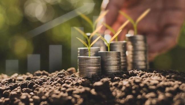 Valor das aplicações de crédito rural cresce 30% no Espírito Santo
