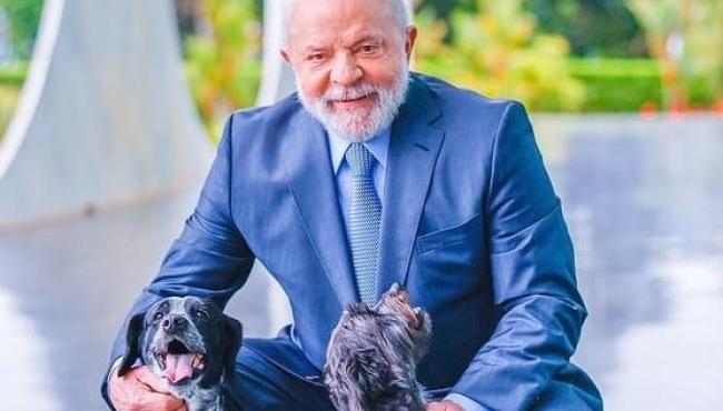 Veja como vai funcionar o ‘RG animal’, lançado por Lula nesta quinta-feira (17)