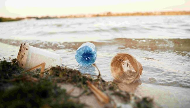 Verão e sustentabilidade: cidades do litoral sob pressão