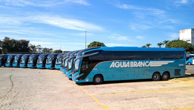 Viação Águia Branca está com 58 vagas abertas para motoristas no Espírito Santo