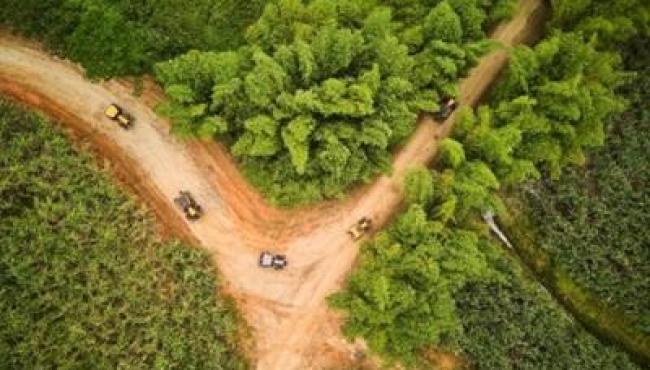 Viajando com V de Valtra percorre “Caminhos dos Engenhos” celebrando a força do agro e da cultura de Pernambuco