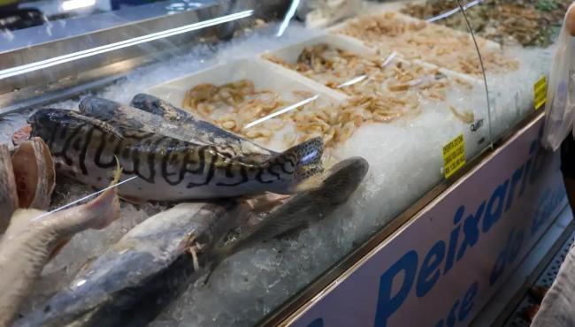 Vigilância Sanitária orienta sobre compra de pescado na Semana Santa